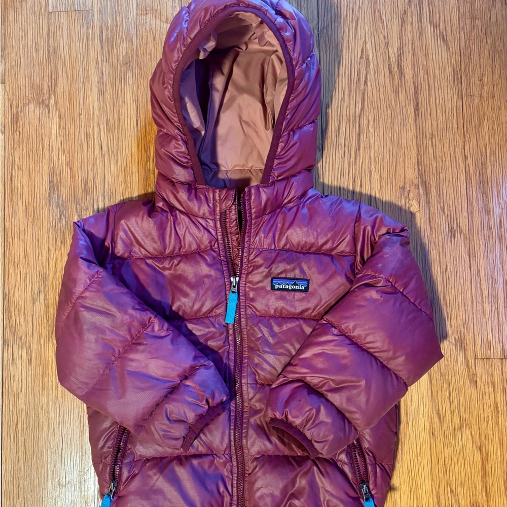 Patagonia Maroon and Pink Puffer Jacket